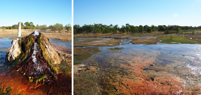 Colorful geyser with flowing water in a geothermal area featuring water streams and lush vegetation