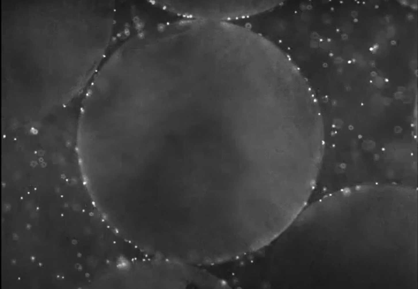 Colloid Attachment Under Unfavorable Conditions