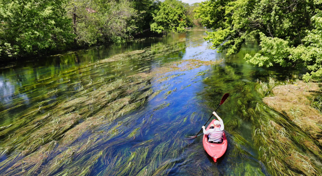 habitat conservation Edwards Aquifer springs