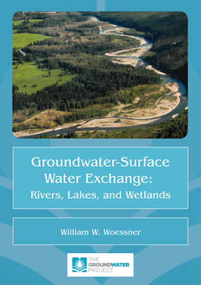 Groundwater-Surface Water Exchange: Rivers, Lakes, and Wetlands book cover