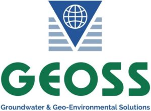 geoss logo
